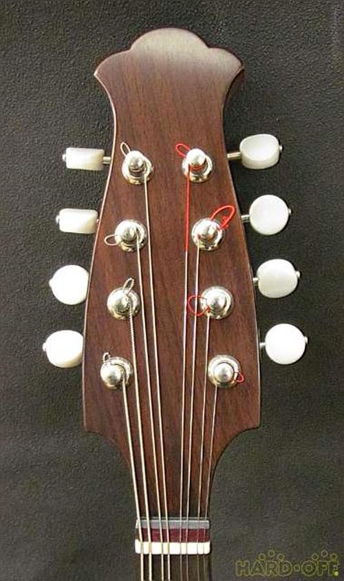 藤丸常夫マンドリンARTIST | - Buyee日本代购服务| 在OFFMALL购物。