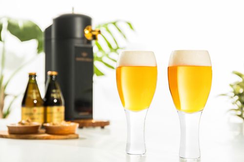 amadana 本格ビアサーバー〈BEERGO（ビアルゴ）〉オリジナルグラス2個