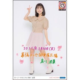 期間限定受注】Hello! Project ひなフェス 2025 3/30日付入り