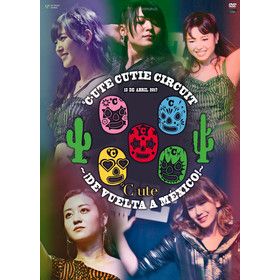 デビュー25周年企画 森高千里 セルフカバー シリーズ 
