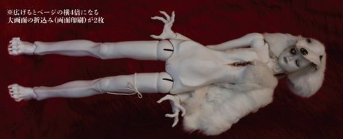 与偶 人形作品集「フルケロイド FULLKELOID DOLLS」 | ヴィレッジ