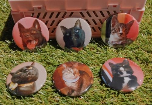 タイピー日記】缶バッジ ソラン | Village Vanguard Online Store