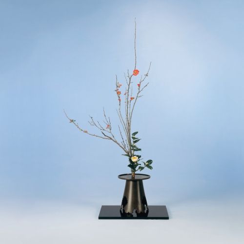 御玄猪専明好(特) | Ikenobo Flower Shop -KARAKU- - Buyee, an Online