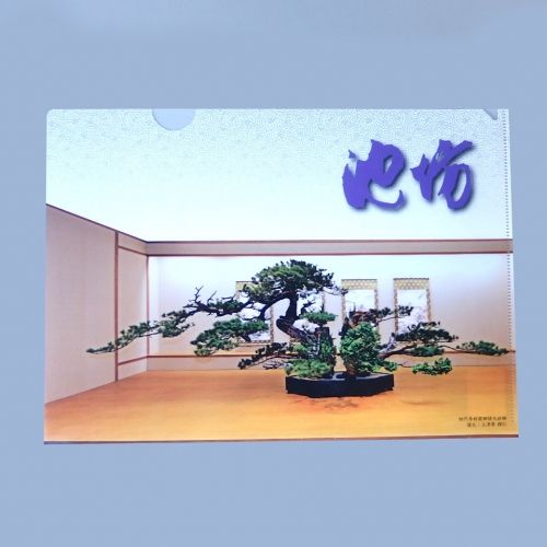 薄板 尺三 黒 | Ikenobo Flower Shop -KARAKU- - Buyee, an Online