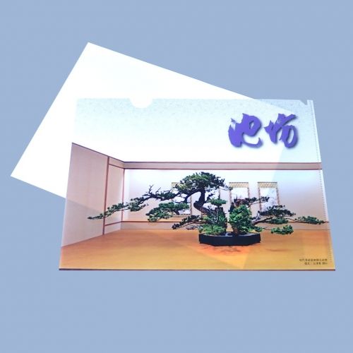 前田邸大砂物クリアファイル | 池坊フラワーショップ-花楽- - Buyee