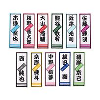 軟式用FRP製 ビヨンドマックス ギガキング | 阪神タイガース公式